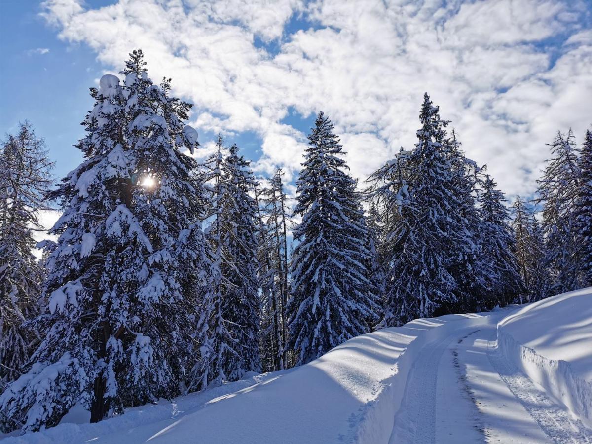 Ferienhaeuser Troester Bad Kleinkirchheim Extérieur photo