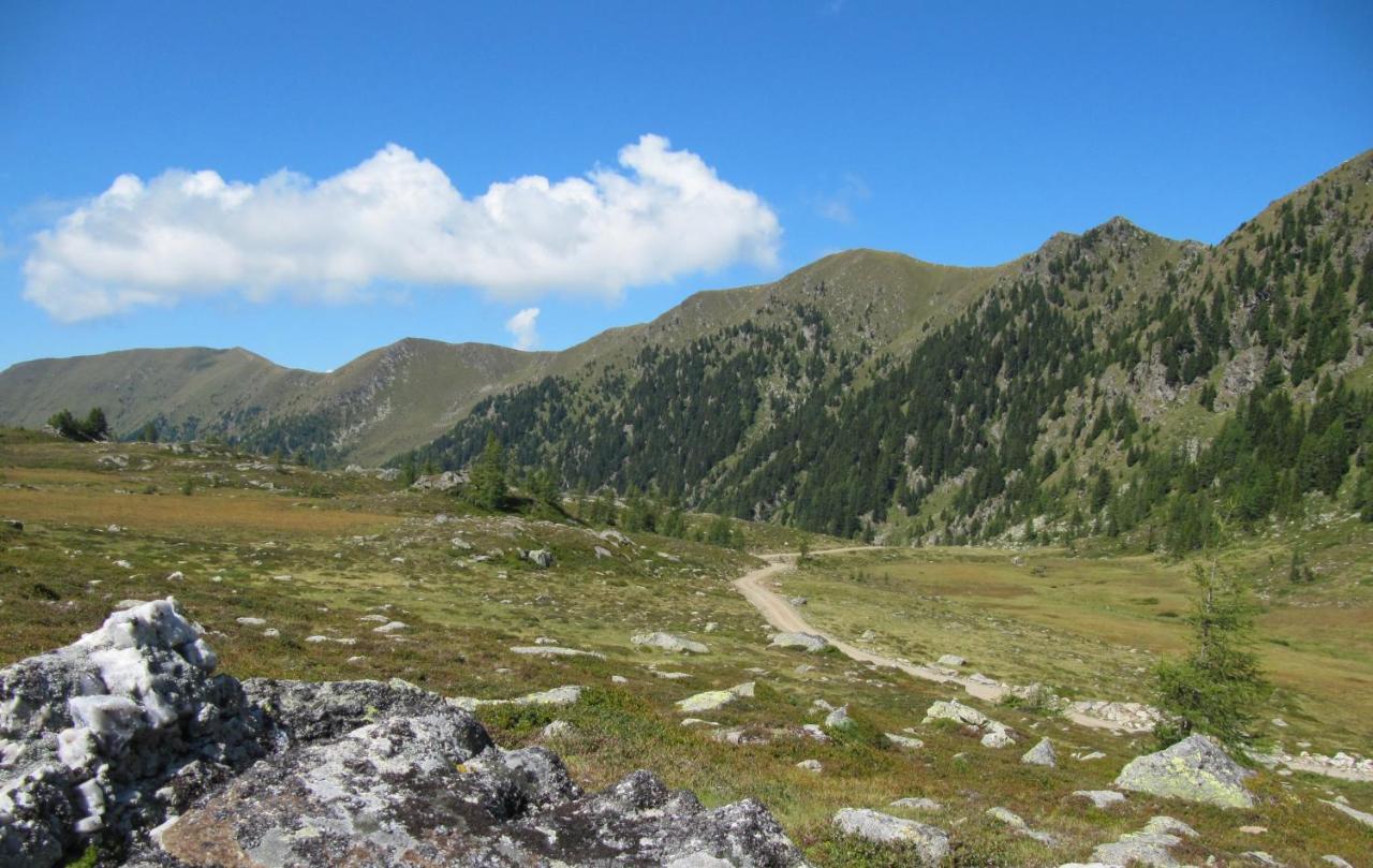 Ferienhaeuser Troester Bad Kleinkirchheim Extérieur photo