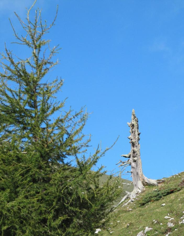 Ferienhaeuser Troester Bad Kleinkirchheim Extérieur photo