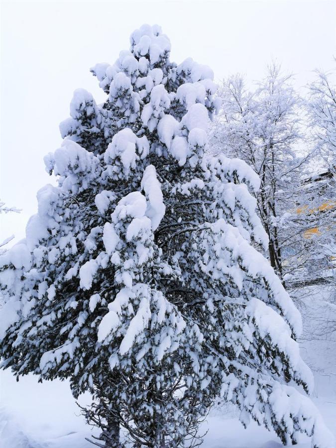 Ferienhaeuser Troester Bad Kleinkirchheim Extérieur photo