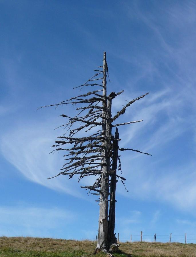 Ferienhaeuser Troester Bad Kleinkirchheim Extérieur photo