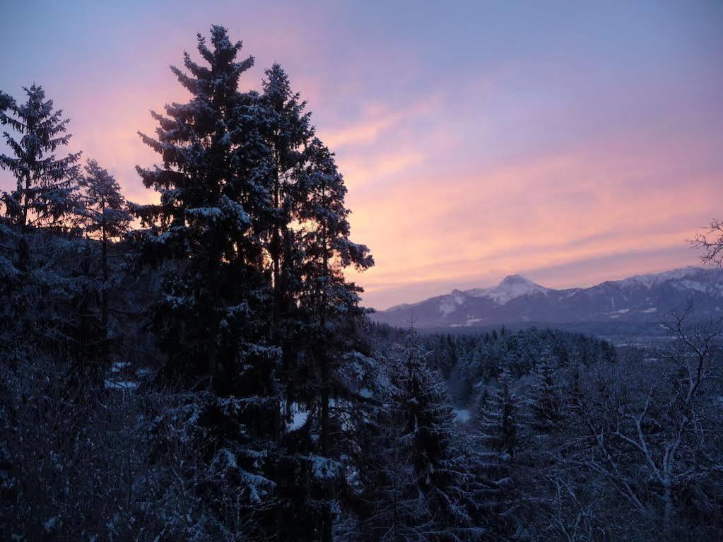 Ferienhaeuser Troester Bad Kleinkirchheim Extérieur photo